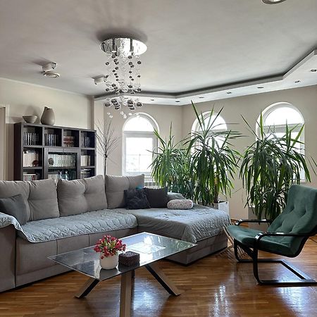 Lovely Apartments Free Street Parking Novi Sad Ngoại thất bức ảnh